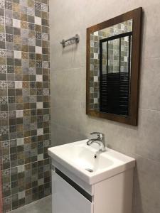 a bathroom with a sink and a mirror at Villa Tsinandali in Tsinandali +51 photos