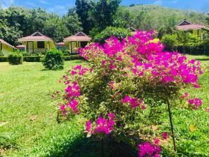 un arbusto con flores rosas delante de las casas en Mookies Bungalows, en Ko Mook