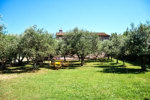 Fotografia z galérie ubytovania Casa Lalla v destinácii Livorno