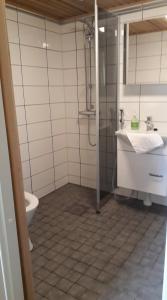 a bathroom with a sink and a toilet at Hideaway Cottage in Ivalo