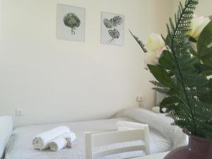 Fotografie z fotogalerie ubytování In vacanza a Itri - Casa Ileana v destinaci Itri