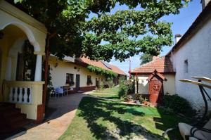 a courtyard of a house with a grass yard at Agropensiunea Maria in Hîrşeni