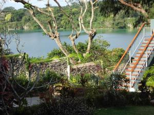 vista su un lago con scala e albero di The Hub Vanuatu a Port Vila