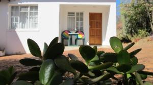 a plant in front of a house with a door at Swinburn’s Rest in Lobatse