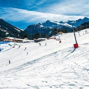 Gallery image of Aparthotel Chalet Wetzlgut in Bad Gastein