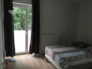 ein Schlafzimmer mit einem Bett und einer Glasschiebetür in der Unterkunft Nice appartment between Orly airport and Paris in Bagneux