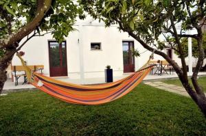 Zahrada ubytování B&B Piccolo Vigneto + 17 fotografií