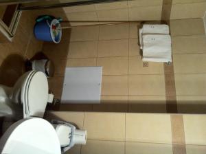 baño con aseo y papel en el suelo en Hotel Magnolia, en Loutra Edipsou