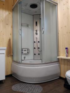 a shower with a glass door in a bathroom at Пагорб Їжака / Hedgehog Hill in Yablunytsya