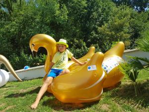 Hosté ubytování Villa Palma Karojba