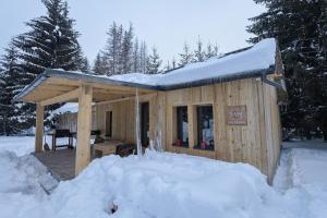 a wooden cabin with a snow covered roof at Vila Mura in Topliţa +9 photos