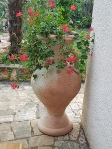 Zahrada ubytování Villa Palma Karojba