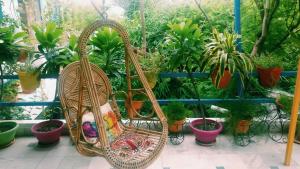 The Coral House Homestay by the Taj外面的花园