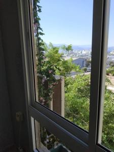 an open window with a view of a garden at Yaeli's Yam Souf in Eilat