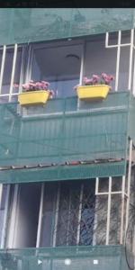 two flower pots on the balconies of a building at Yaeli's Yam Souf in Eilat