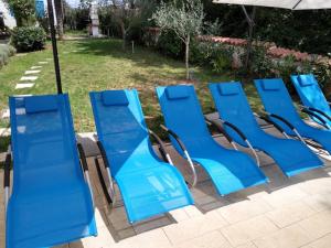 Zahrada ubytování Villa Palma Karojba