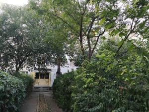 a white house with a yellow door and trees at Chic Apartment in Brăila