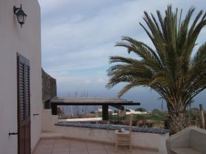 - une vue depuis le balcon d'une maison avec un palmier dans l'établissement Dammuso Levante in c/da Tracino a Pantelleria, à Pantelleria