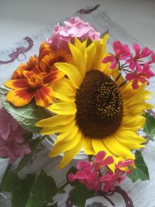 a yellow sunflower in a bouquet of flowers at Pension Apartments Klotznerhof in Schenna