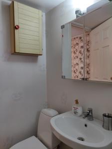 a bathroom with a toilet and a sink and a mirror at Family room in Trönninge