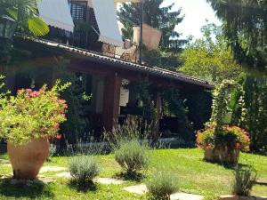 Zahrada ubytování Villa Palma Karojba