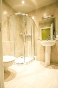 a bathroom with a shower and a toilet and a sink at Mc Kevitts Village Hotel in Carlingford