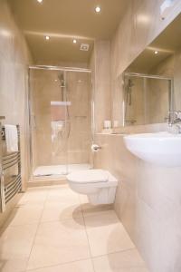 a bathroom with a sink and a toilet and a shower at Mc Kevitts Village Hotel in Carlingford