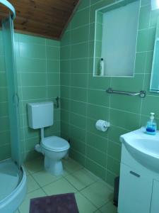Joky Katona Rooms & Apartments في باليتش: حمام أخضر مع مرحاض ومغسلة