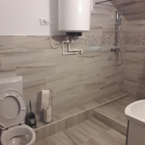 a bathroom with a toilet and a sink at CasaMarinela in Orşova