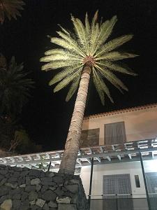 a palm tree in front of a house at night at Hotel Rural Triana in Vallehermoso