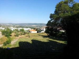 a shadow of a tree on a field of grass at Casa Do Refugio in Covilhã