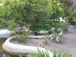 um jardim com um lago e muitas plantas em Casa Do Refugio na Covilhã