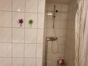 Koupelna v ubytování Bårdshaug Studio Apartment + 17 fotografií