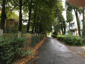 Afbeelding uit fotogalerij van Peles Green Apartment in Cluj-Napoca