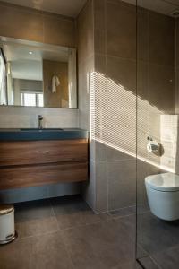 La salle de bains est pourvue d'un lavabo, de toilettes et d'un miroir. dans l'établissement Villa Farfalla, à Bredene