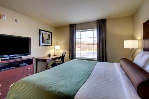 a hotel room with a large bed and a television at Cobblestone Inn & Suites - Hartington in Hartington