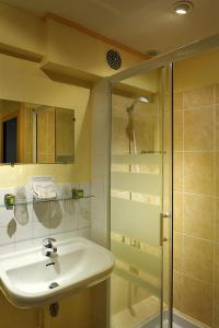 een badkamer met een wastafel en een douche bij Logis Hostellerie Du Cheval Blanc in Sainte-Maure-de-Touraine