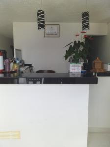 a kitchen with a counter with a plant on it at Hotel Hortensia Real in Paipa