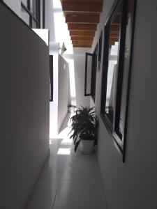 a hallway with a potted plant in a building at Hotel Hortensia Real in Paipa