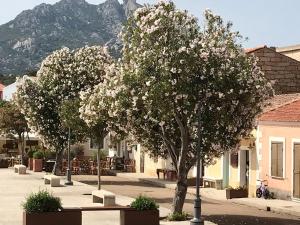 Gallery image of Place San Pantaléo : jolie maison sarde authentique in San Pantaleo