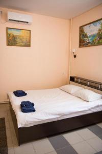 Łóżko lub łóżka w pokoju w obiekcie Гостевой дом Лабиринт