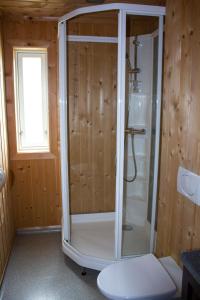 a bathroom with a shower and a toilet in a room at Gudvangen Camping in Gudvangen