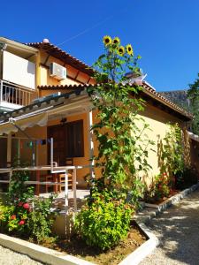 a house with a table and a plant in front of it at Garden Rooms in Himare