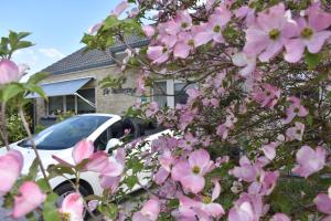Zahrada ubytování B&B De Watering