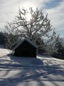 Ausblickhof Geiger pozimi