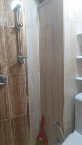 a bathroom with a shower with a red brush at Bandirma Saglik Apart in Bandırma +25 photos
