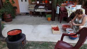 Tetamu yang menginap di Guest House Jevtović
