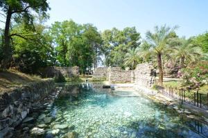 een zwembad met water in een tuin met bomen bij Palazzo Salvi in Telese