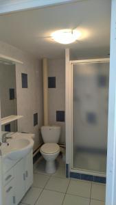 a bathroom with a toilet and a sink and a shower at Les Guernazelles in Bracieux +11 photos