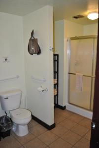 a bathroom with a toilet and a shower at Aspen Inn in Fort Klamath